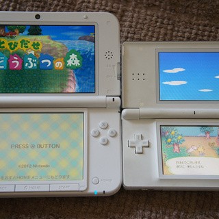 ゲーム【3点セット】DS本体 おいでよ動物の森 ポケットモンスター　充電器有